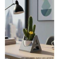 Gri A Harf Seklinde Mini Dekoratif Saksi Ismine Ozel Bas Harf Tasarim 75 Cm Masa Ustu Ofis Dekoru