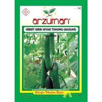 Hibrit Sırık Salatalık Tohumu (10 Adet) Nasuhi