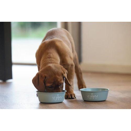 Beeztees Yavru Köpek Mama Su Kabı, Paslanmaz Çelik, Kaymaz Taban, Turkuaz, 13cm, 470ml