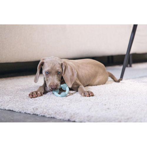 Beeztees Yavru Köpek Diş Oyuncağı, İçi Dolu Halka, Kauçuk, Yeşil, 8cm