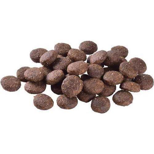 Brit Care Deri Ve Tüy Hassasiyeti Olan Büyük Irk Genç Köpekler İçin, Tahılsız, Somonlu Kuru Mama 12 kg