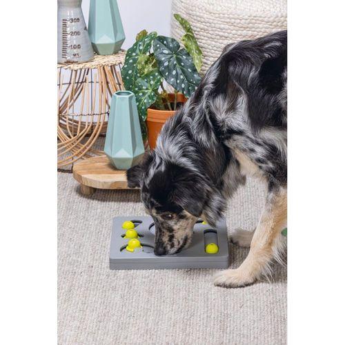Beeztees Köpek Zeka Geliştirme Oyuncağı, 28x28x4,5cm