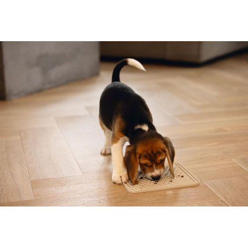 Beeztees Yavru Köpek Yaş Mama Yeme Oyuncağı, Kare, Silikon, Gri, 20x20cm