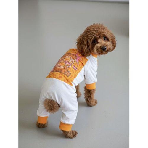 Never Give Up Köpek Tulum Pijama