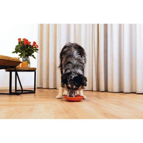Beeztees Yavru Köpek Mama Yeme Oyuncağı, Silikon, Kırmızı, 19cm