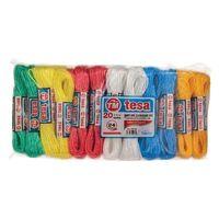 Temsan 20 Metre Naylon Çamaşır İpi 24'lü