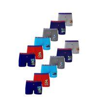 Dode Flora Tutku 0253 Erkek Çocuk Karışık Desenli Ekonomik 12 Li Paçalı Boxer