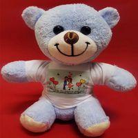 Tişörtlü Mavi Ayı