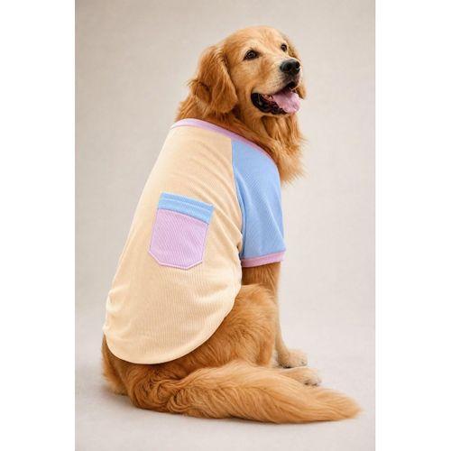 Soft Sun Orta ve Büyük Irk Köpek Tişörtü | Lacivert Kırmızı Yazlık Köpek Kıyafeti