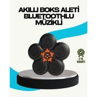 Ev Tipi Akıllı Boks Duvar Paneli Müzikli Bluetoothlu Refleks Geliştirme Cihazı