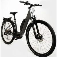 Olli Balli Efes 28 Jant Elektrikli Şehir Bisikleti Gri