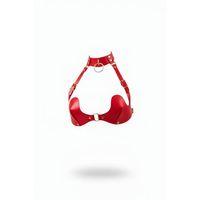 Kırmızı Göğüs Harness Boyunluklu Altın Tokalı Deri Korse - Brf1226