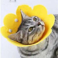 Evcil Hayvan M Boy Keçe Elizabeth Yakalığı