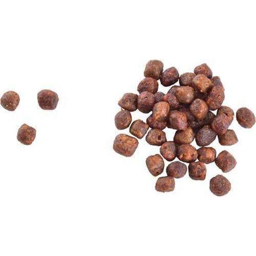 Brit Care Yavru Kediler İçin, Tahılsız, Hipoalerjenik, Taze Somonlu Kuru Mama 2 kg