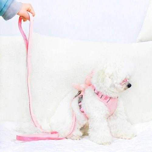 Evcil Hayvan Peluş Ayıcıklı Göğüs Gezdirme Tasması Set