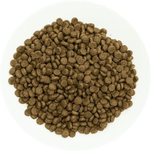 Prochoice Yavru Köpekler İçin, Hipoalerjenik, Kuzu Etli Ve Pirinçli Kuru Mama 12 kg