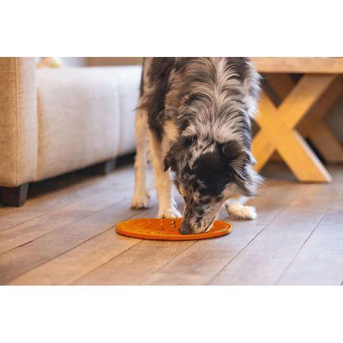 Beeztees Yavru Köpek Mama Yeme Oyuncağı, Daire Şeklinde, Silikon, Turuncu, 30cm