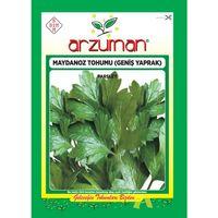 Maydanoz Tohumu (Geniş Yaprak) 10 Gr Aromatik kokulu