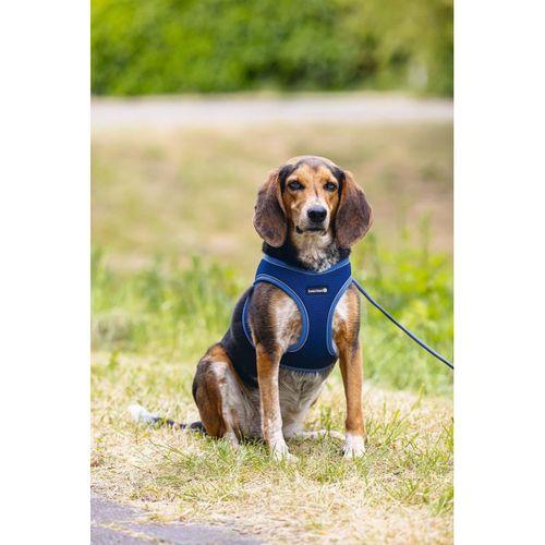Beeztees Köpek Göğüs Tasması, Neopren, Mavi, M, 41-46cm