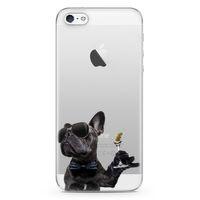 Apple iPhone 5 Kılıf French Bulldog Arka Kapak Koruma Desenli Full Koruyucu