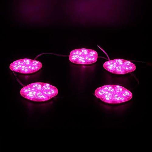 Powermaster 12 Volt 3 Watt Pembe Sabit 6565-2835 Modül Led
