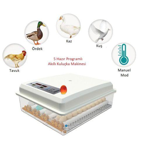 Kaz Yumurtası Uyumlu Kuluçka Makinesi