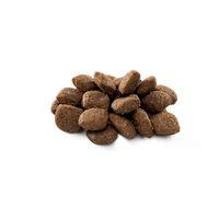 Brit Premium By Nature Hassas Sindirime Sahip Köpekler İçin, Kuzu Etli Kuru Mama 8 kg