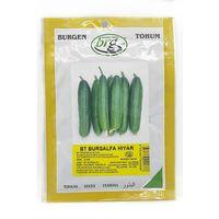 BT Bursalpha Salatalık Tohumu  10 gr