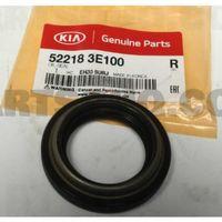 Sorento Arka Teker Aks Diş Keçe 06-09