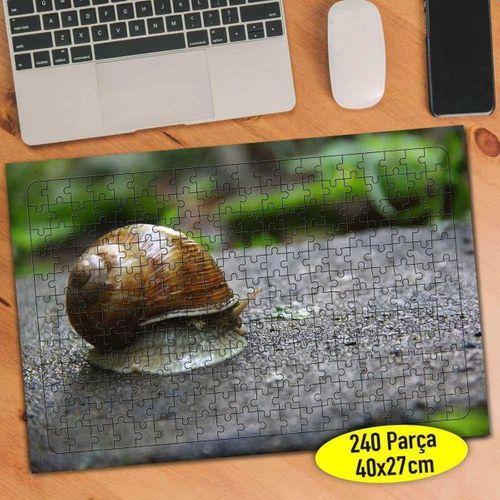 Kabuğuna Saklanan Salyangoz 240 Parça Puzzle Yapboz-37183