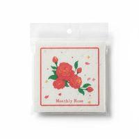 Suda Büyüyen Sünger