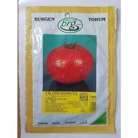 BT Falcon Domates Tohumu (10 Gr)