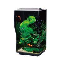 Anubias Guppy 36 Nano Akvaryum Siyah 36 x 32 x 50 Cm