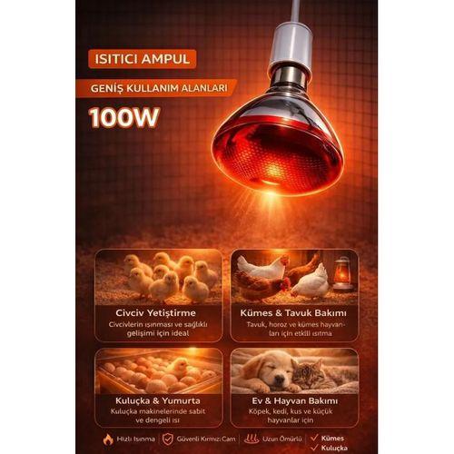 100w Isıtıcı Ampul Kırmızı Isı Lambası Civciv Kümes Kuluçka E27 Duy Isıtma Ampulü