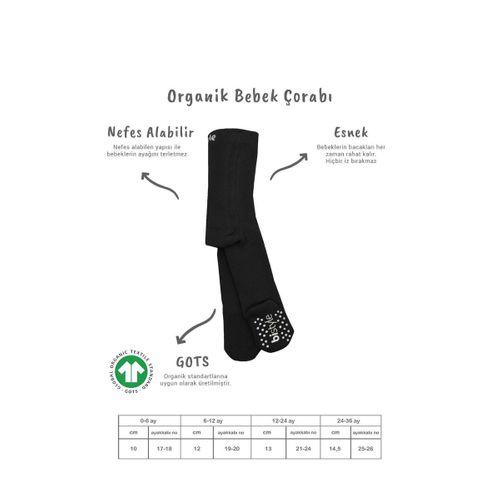 Bistyle Bistyle Kaymaz Basic Külotlu Çorap 50501 Siyah