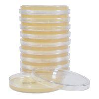 Petride Agarlı Besiyeri DRBC-Küf Sayımı 30 adet/paket