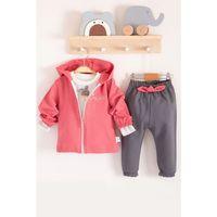 Prences Nakışlı Kapişonlu 3'lü % 100 Pamuk Kız Bebek Takımı