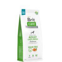 Brit Care Deri Ve Tüy Hassasiyeti Olan, Büyük Irk Yetişkin Köpekler İçin, Tahılsız, Somonlu Kuru Mama 12 kg