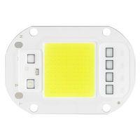 PowerMaster PM-19479 Projektör 50 Watt Beyaz Led 4060 AC220V 60x40mm