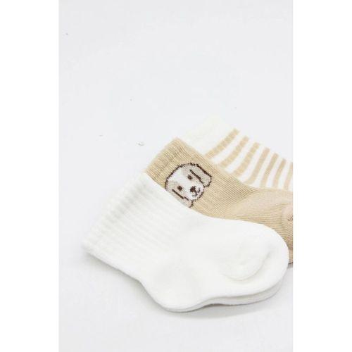 Bistyle Dog Boy 3'lü Penye Soket Çorap 10134 Ekru