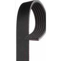 Kanalli Kayis Ford Honda Isuzu Toyota Fiat Punto 1.7 D 8V 94-00