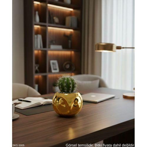 Gold Baykuş Figürlü Mini Dekoratif Saksı 6 Cm Masaüstü Ofis Dekoru