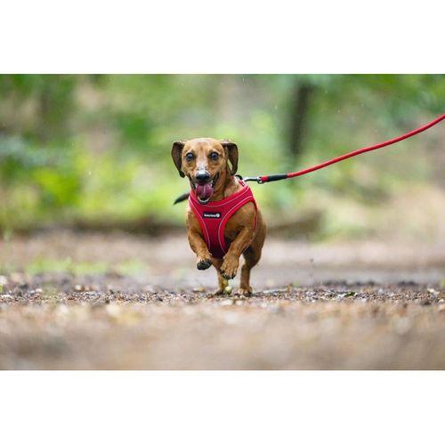 Beeztees Köpek Göğüs Tasması, Neopren, Kırmızı, XS, 30-35cm