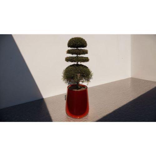 TOP (Bu ürün Sadece Plastik parçadır - Almadan Önce Soru Sorabilirsiniz)