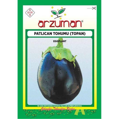 Top Patlıcan Tohumu (10 Gr) Topan Çeşidi