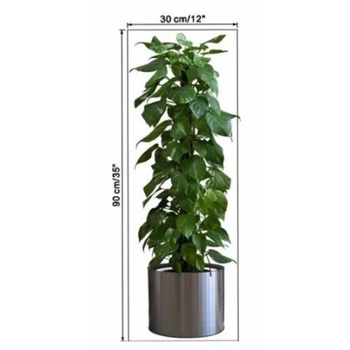 Saksılı Bitki Tasarımlı Yapışkanlı Sticker Resim 90*30 cm