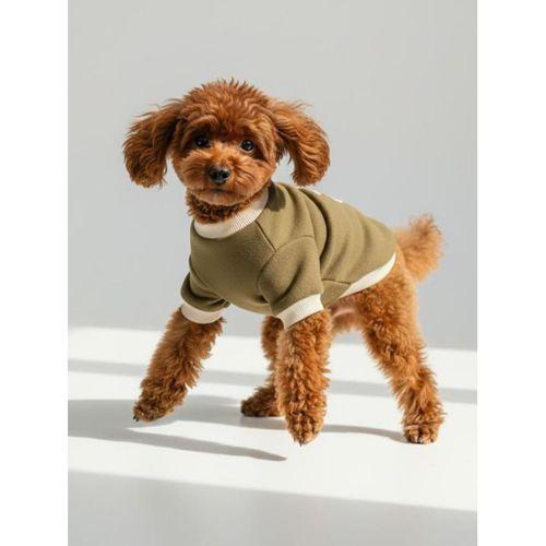 Minik Aslan Köpek Sweatshirt – Haki