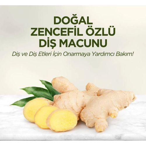Çocuk Eyüp Sabri Tuncer Doğal Diş Macunu 90 Gr Zencefil Özlü