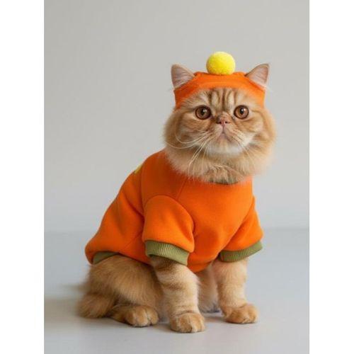 Pineapple and Ice Cream Turuncu Haki Kedi Polar Sweatshirt ve Bere Takım Kedi Kıyafeti
