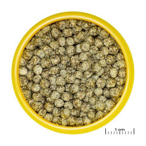 Jbl Pronovo Red Grano M 100ml Clıck